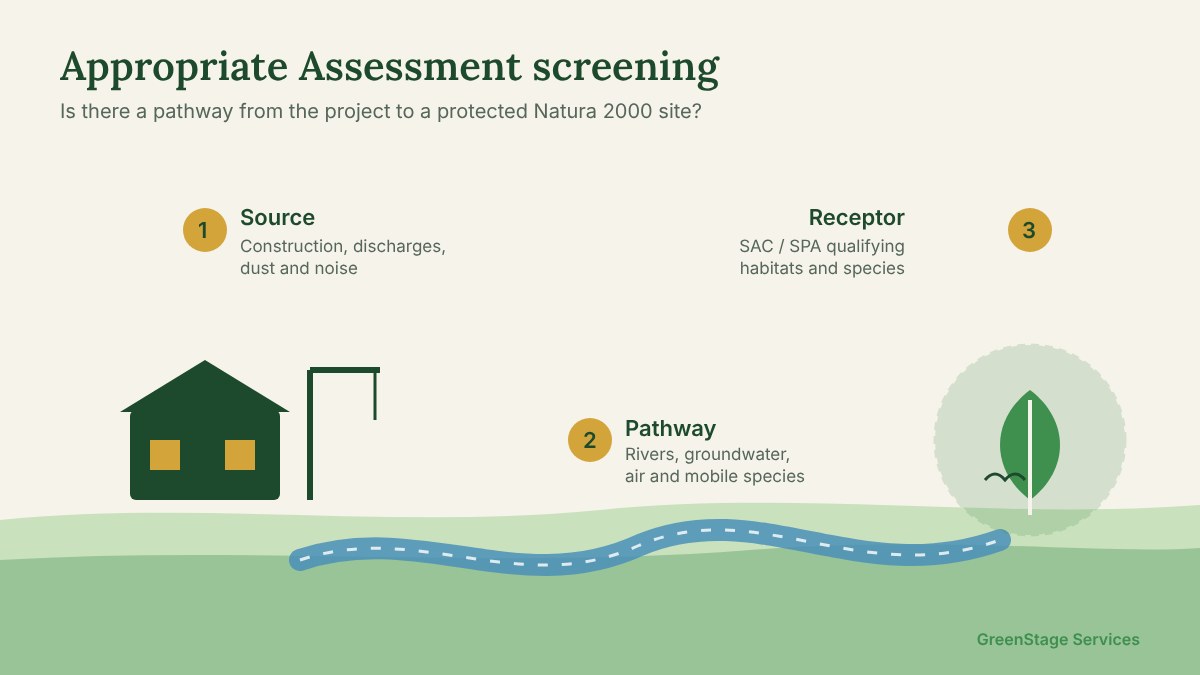 Appropriate Assessment screening: a source on the project site, a pathway such as a river, and a receptor at a Natura 2000 site.